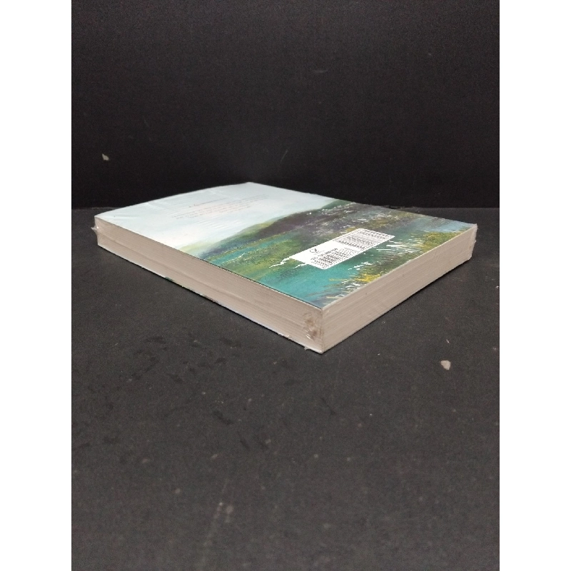 Chiêu diêu 2 (có seal) mới 80% ố nhẹ HCM1410 Cửu Lộ Phi Hương VĂN HỌC 917015