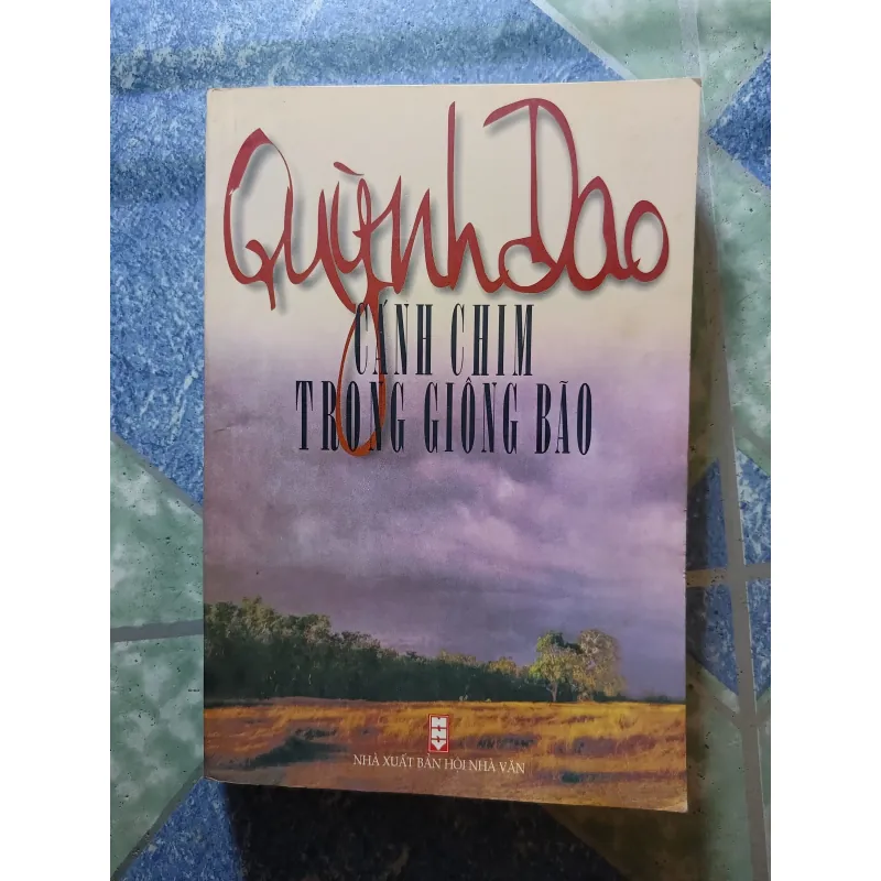 Cánh chim trong giông bão - Quỳnh Dao 975054