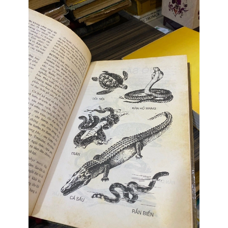 Từ điển sinh học phổ thông - Lê Đình Lương chủ biên 1041498