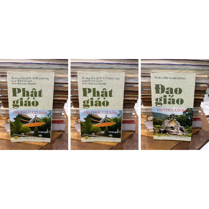 Cùng Tác Giả & Chủ Đề Phật Giáo 992108