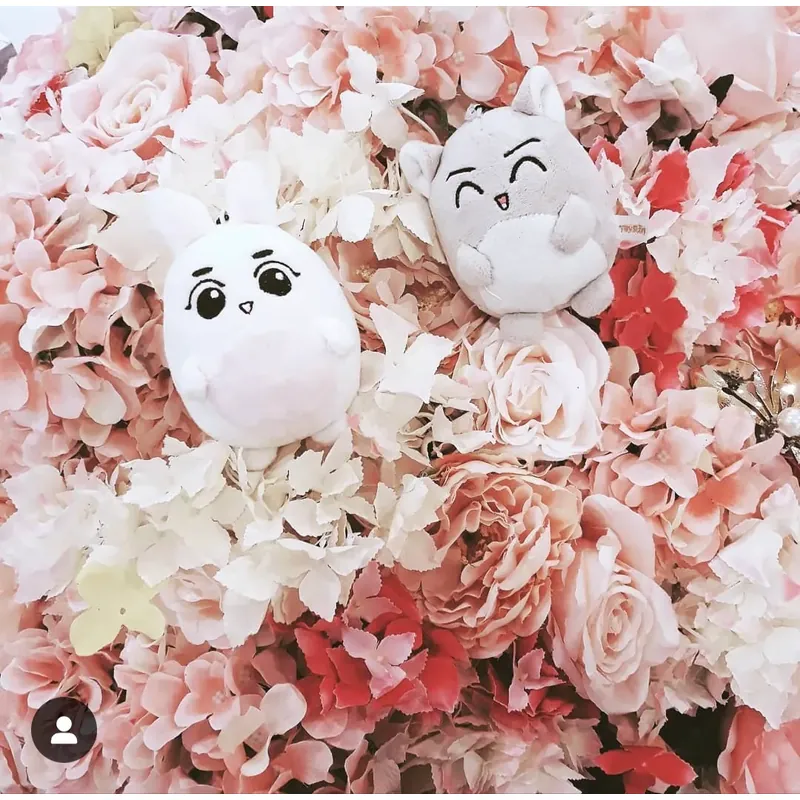 Doll 10cm/Keyring fansite EXO Sehun Suho 726743