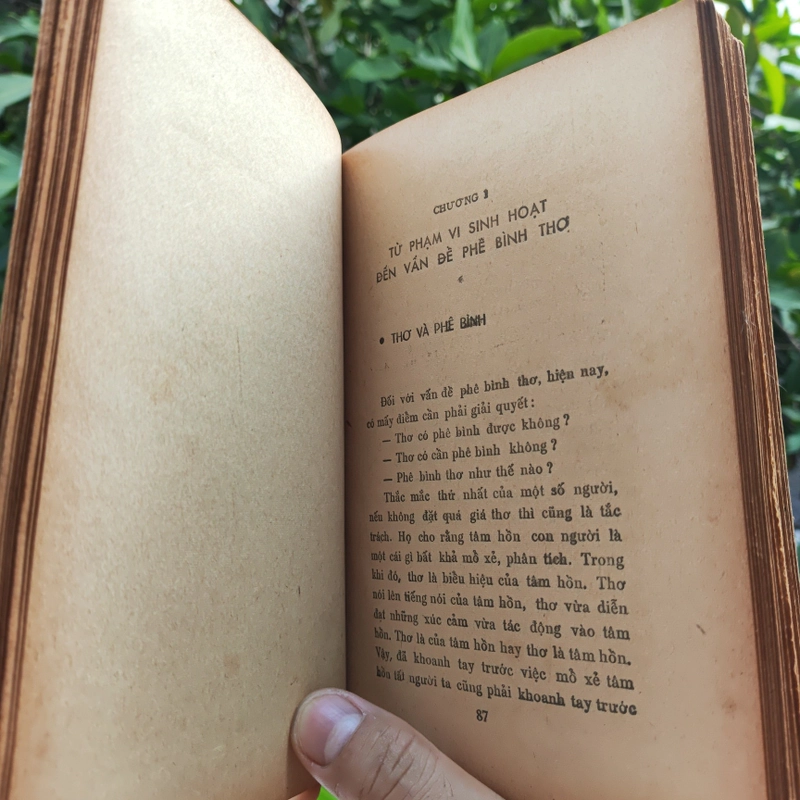 Thơ Việt Hiện Đại 1900 - 1960 - Uyên Thao 523378