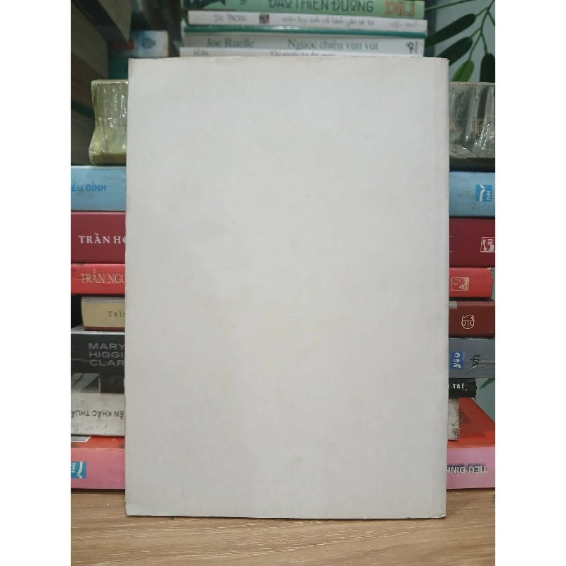 Triệu Luận Lược Giải - dịch HT.Thích Duy Lực 749319