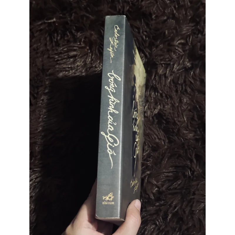 Bóng hình của gió 764320