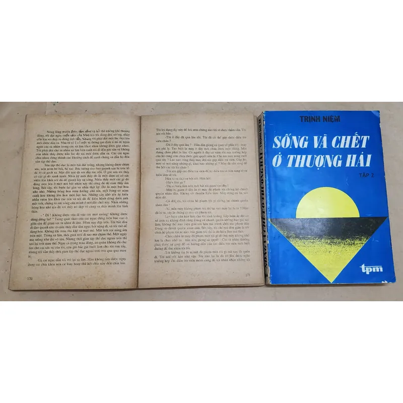 Trọn bộ 2q Hồi ký SỐNG VÀ CHẾT Ở THƯỢNG HẢI (Tác giả: Trịnh Niệm) 730852