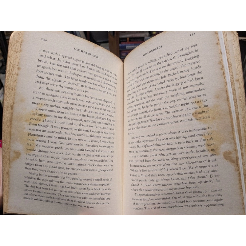 Mother of god - Paul Rosolie 788548