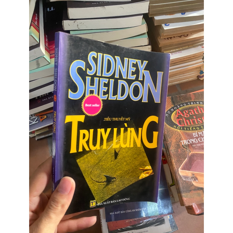 truy lùng - Sidney Sheldon 312437