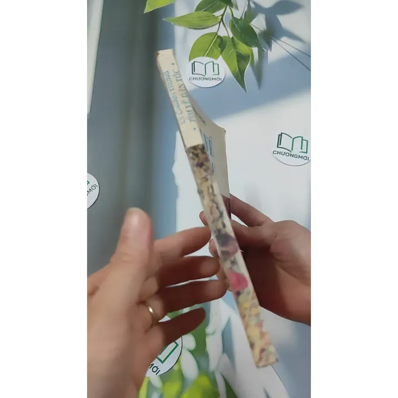 [MIỄN PHÍ BỌC SÁCH] [XƯA] Tìm Về Dân Tộc (1990) - Lý Chánh Trung 776027