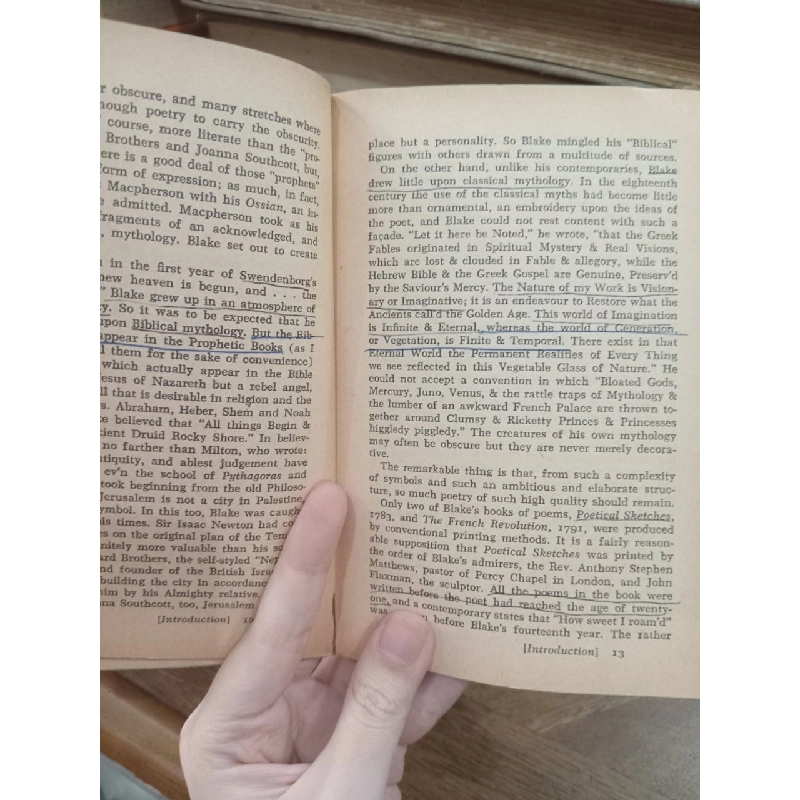 Blake: The Laurel poetry series 521256
