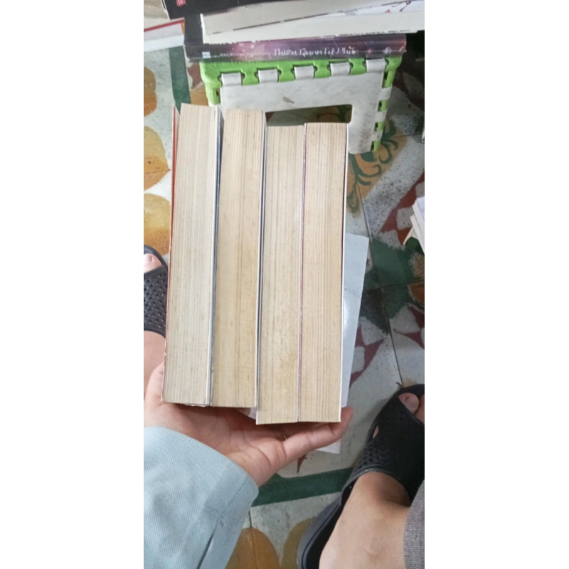 Mệnh Phượng Hoàng- Hoại Phi Vãn Vãn 463292