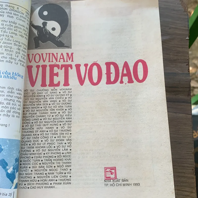 Việt võ đạo, Vovinam  713170