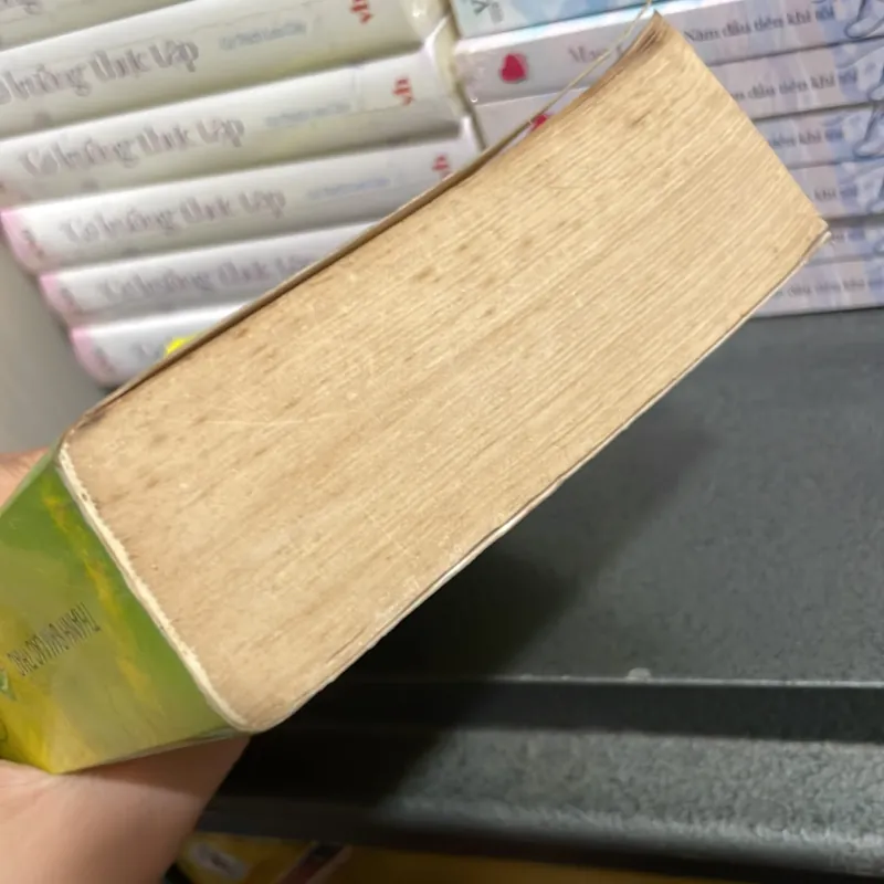 (ngôn tình) - Gia cố tình yêu - Thanh Sam Lạc Thác 1006026