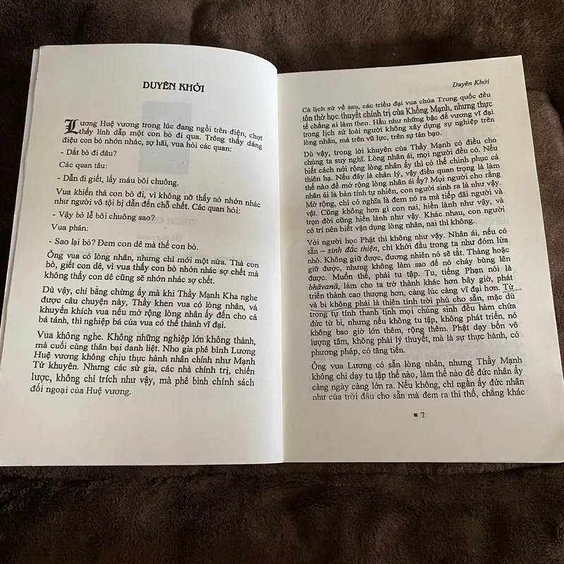 Du già bồ tát giới, Tuệ Sỹ 601328