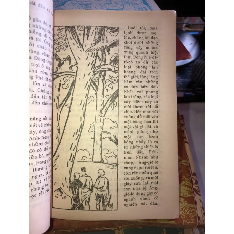 Hành trình Công Ti-ki tập 1 - To Hê-i-e-đan 1020575