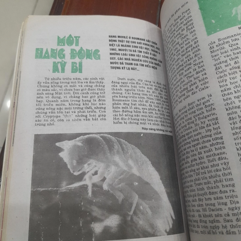 THẾ GIỚI MỚI số 71 năm 1993 447731