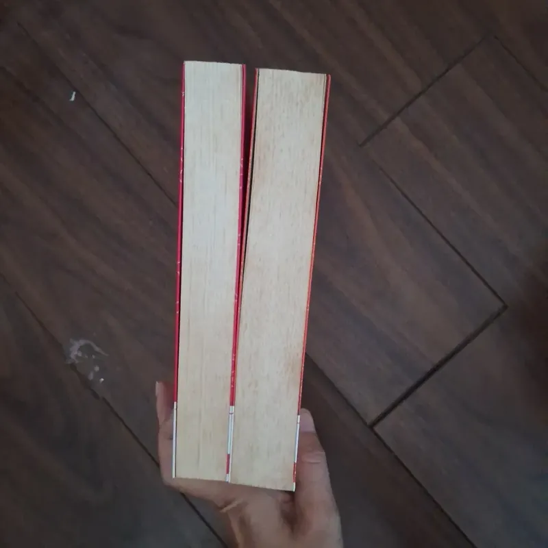 Thái tử phi thăng chức ký - tiên chanh 706337