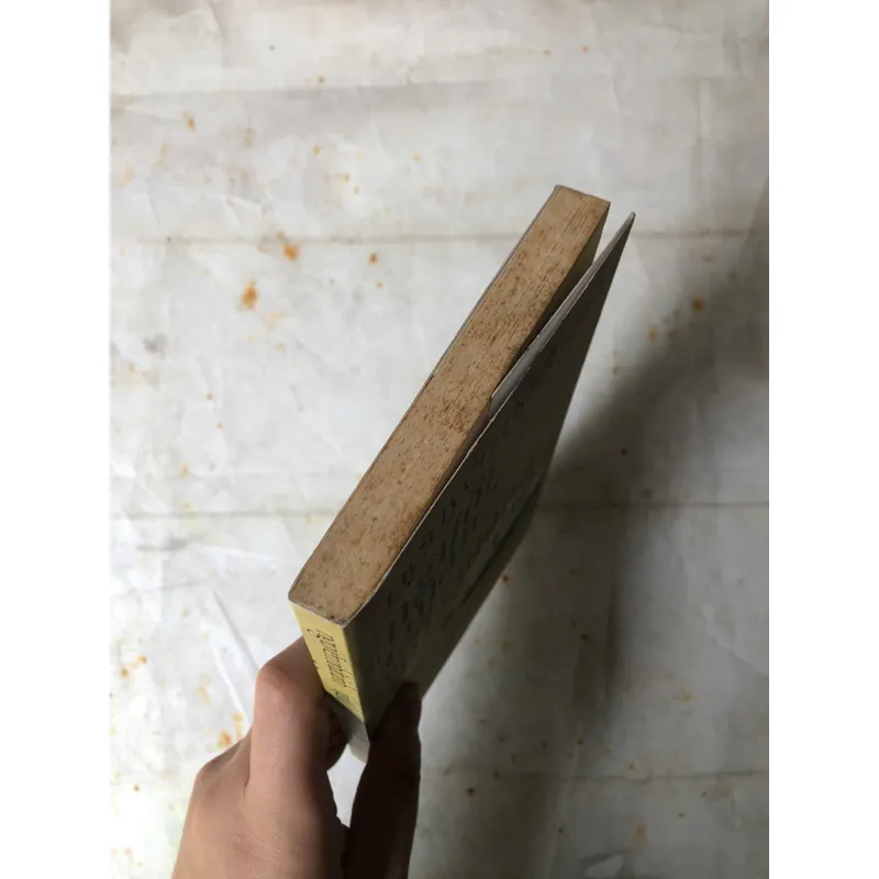 Người Quảng Đi Ăn Mì Quảng - Nguyễn Nhật Ánh 1068827