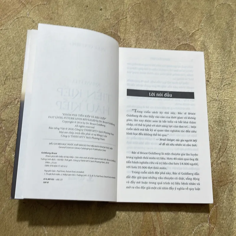 KHÁM PHÁ TIỀN KIẾP VÀ HẬU KIẾP- BRUCE GOLDBERG 688301