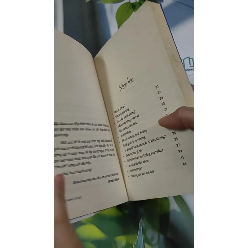 Làm Như Chơi - Minh Niệm 787097