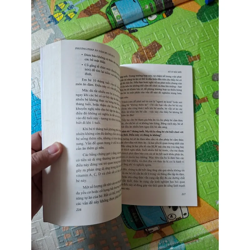 Phương pháp ăn dặm bé chỉ huy 937020