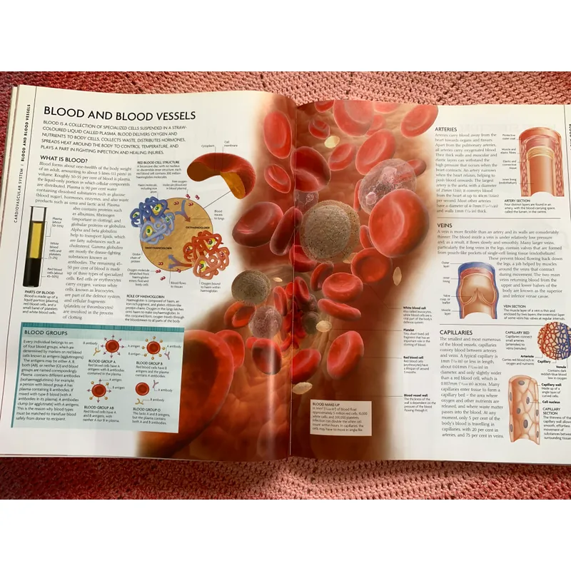 The Human Body Book: An Illustrated Guide to Its Structure, Function and Disorders. 646342