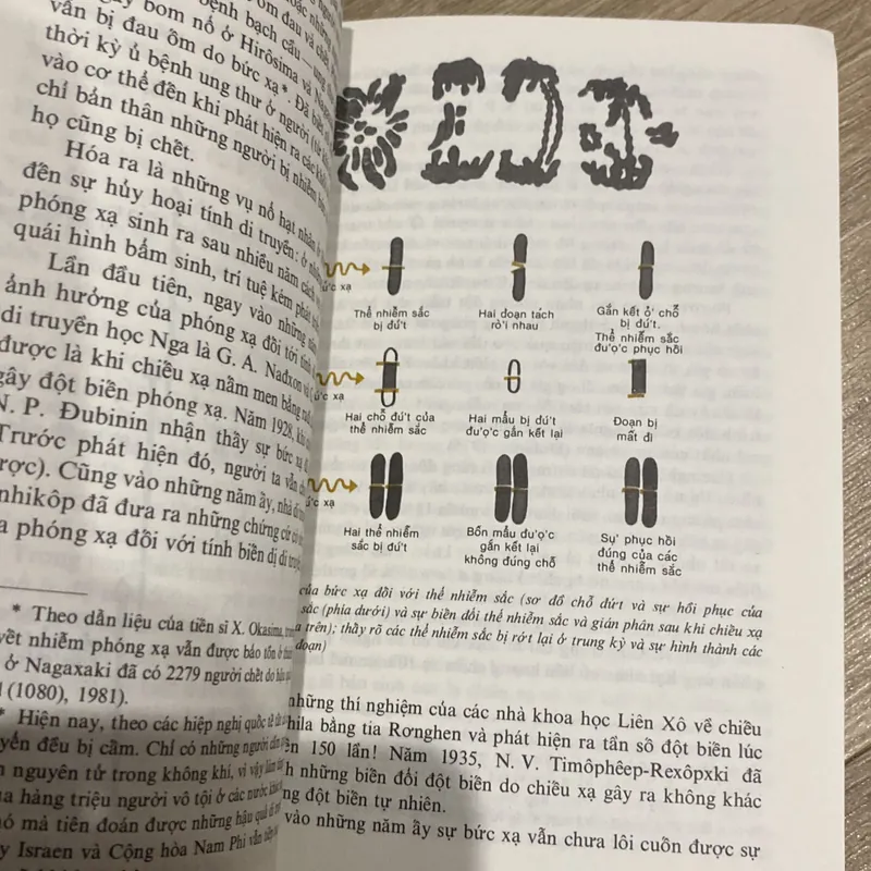 NGUỒN GỐC LOÀI NGƯỜI, in tại Liên Xô 1986 713649