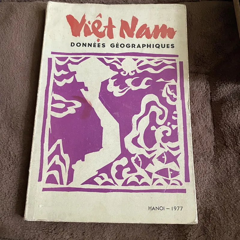 Việt Nam données géographiques 674633