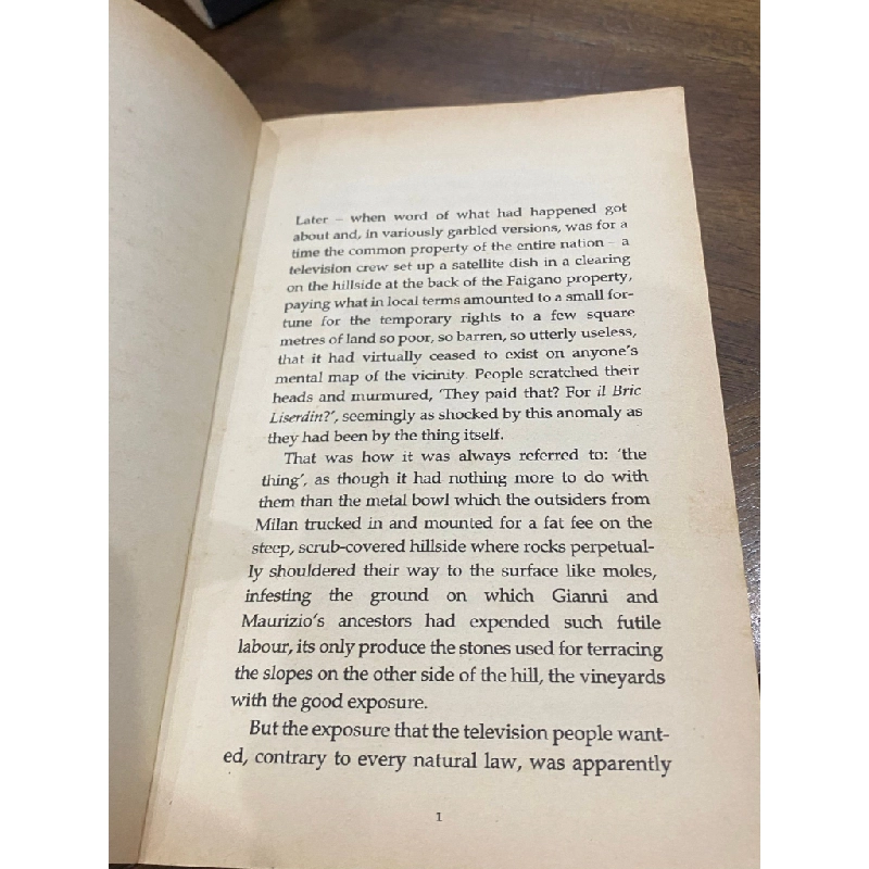 A Long Finish - Michael Dibdin 506819