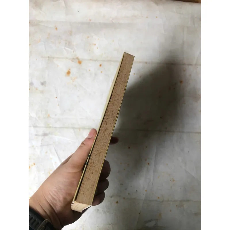Người Quảng Đi Ăn Mì Quảng - Nguyễn Nhật Ánh 1068827