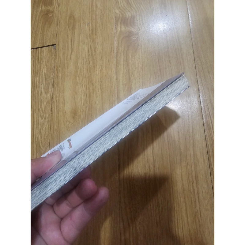 Tsubasa giấc mơ sân cỏ tập 28 454498
