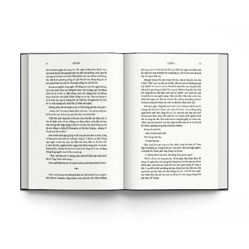 Bố Già (Bìa Cứng) - Mario Puzo 27685