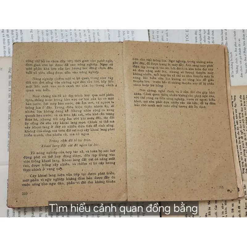 NHỮNG VẤN ĐỀ LỊCH SỬ VĂN HÓA ĐÔNG NAM Á - TÌM HIỂU CẢNH QUAN ĐỒNG BẰNG 707215