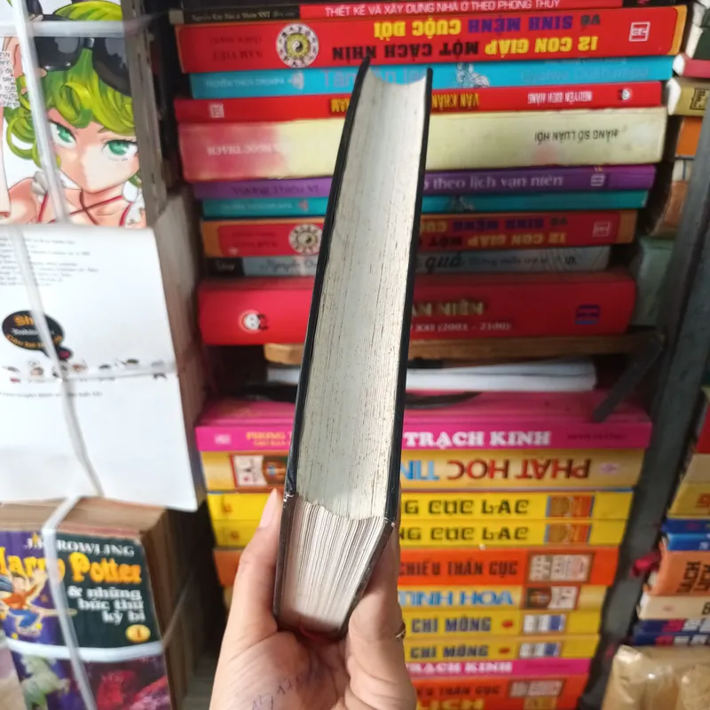 Bóng Hình- Danielle Steel 698525