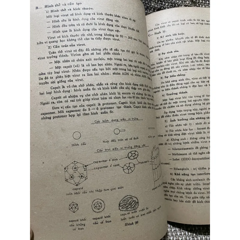 Vì khuẩn học - sách y khổ lớn, 150 trang  1009199