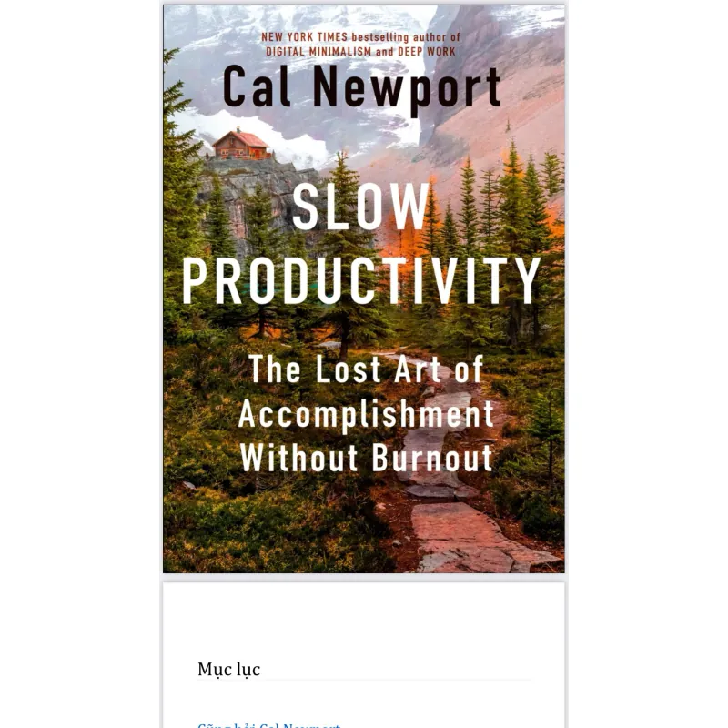 sách Slow productivity - Cal Newport ( bản dịch tiếng việt ) 784508