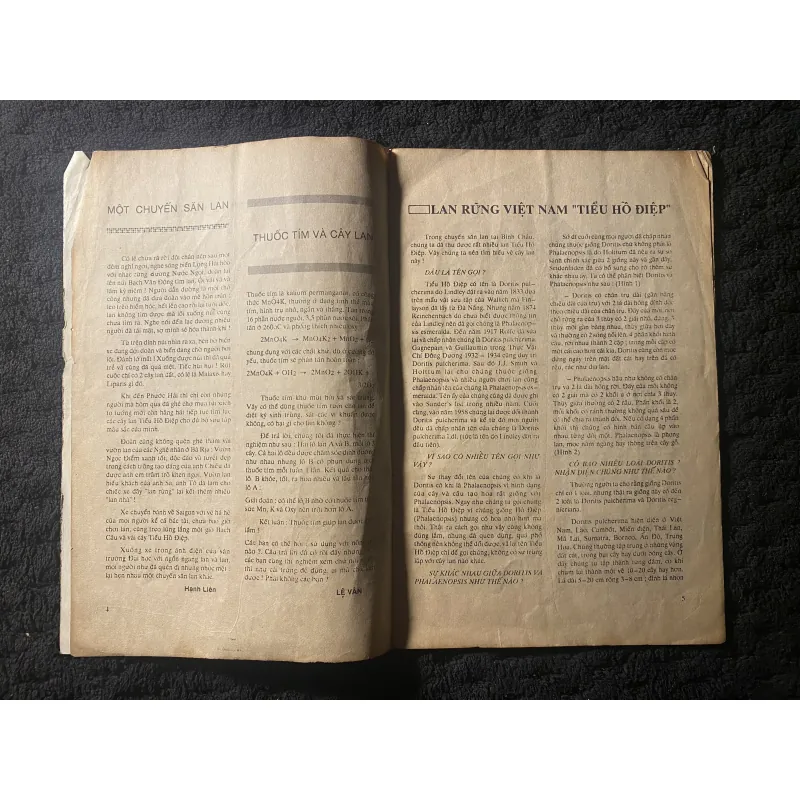 Tìm hiểu Hoa Lan, xuất bản năm 1990. 1046037