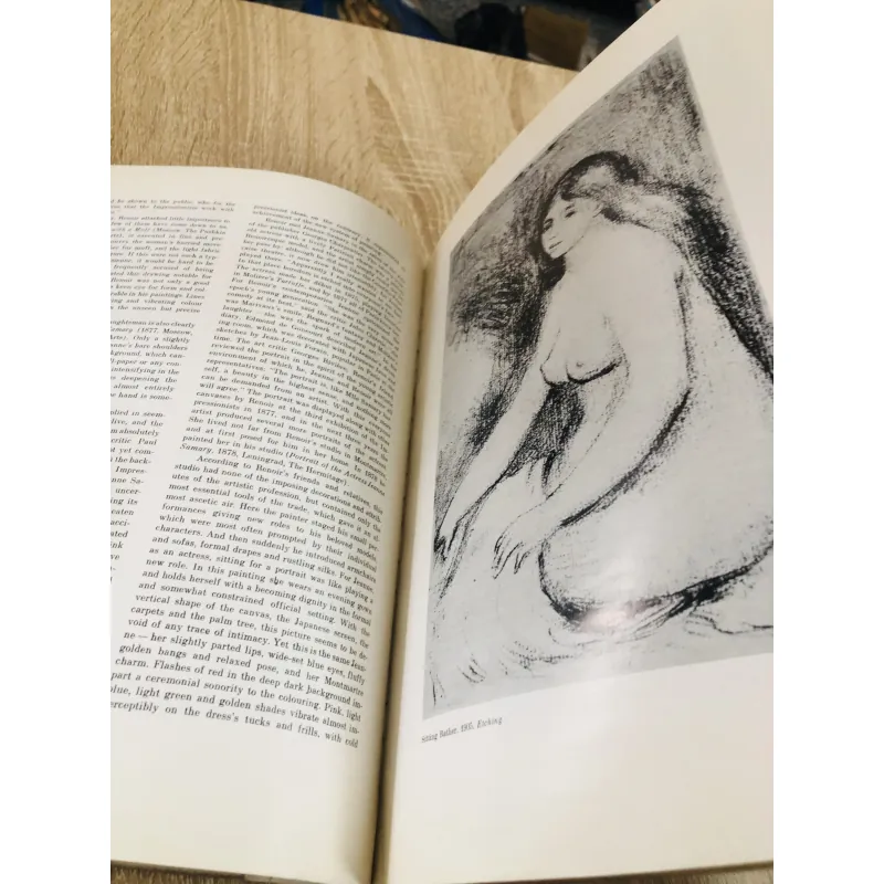 Master of World Painting – Auguste Renoir 993303