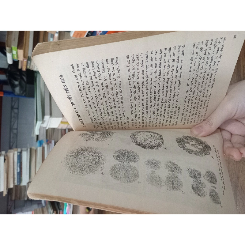 Truyện kể các nhà sinh học xuất sắc - Nguyễn Lân Dũng 495236