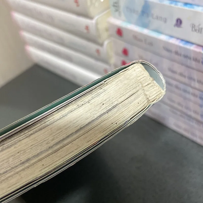 (Truyện tranh) - Mùa hè bất tận - Lâm Hoàng Trúc 1025759