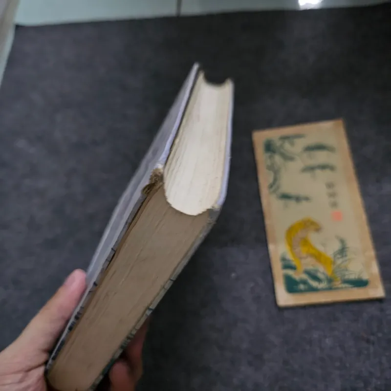 Một cõi Trịnh Công Sơn 746278