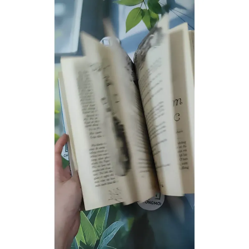 Cứ Gõ Cửa Sẽ Mở 1018889