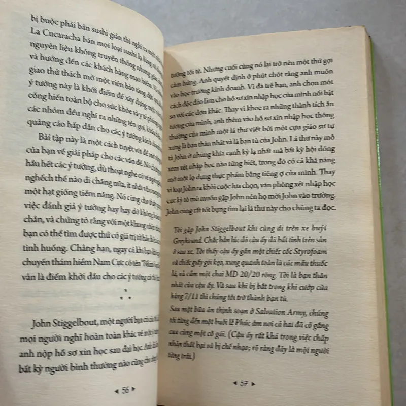 Nếu tôi biết được khi còn 20 - Tina Seeling 801108