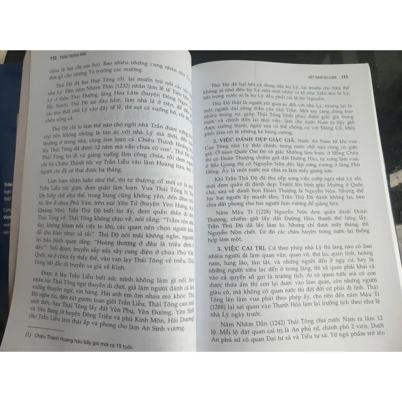 Việt Nam Sử Lược - Trần Trọng Kim 723565