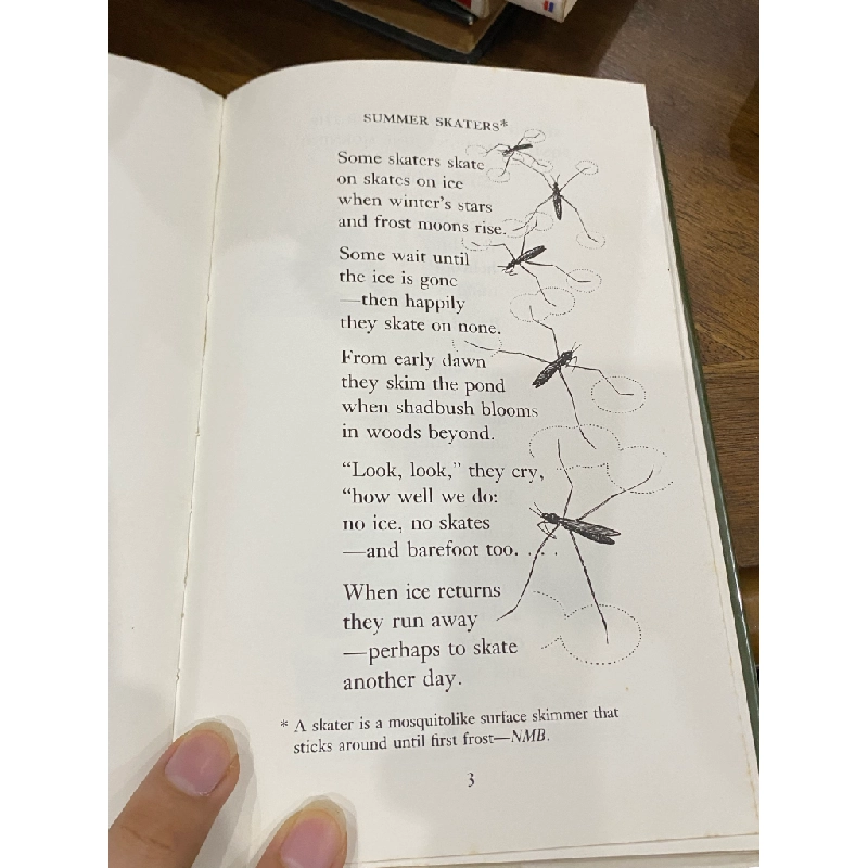 Water Pennies and Other Poems - N. M. Bodecker 505390