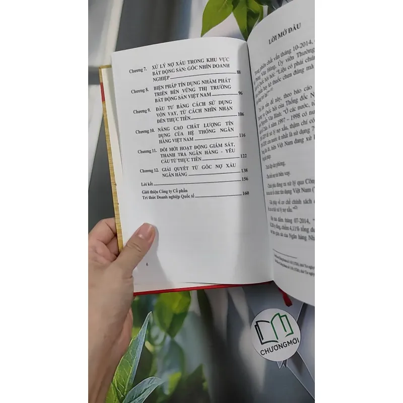 Giải Quyết Từ Gốc Nợ Xấu Ngân Hàng - Đặng Đức Thành 990446