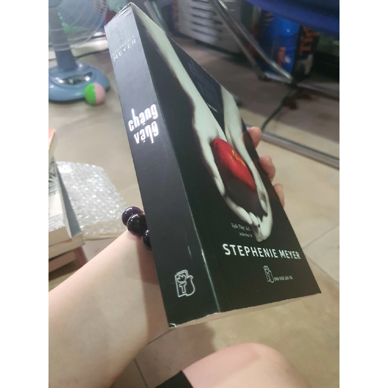 Chạng vạng HCM 910436