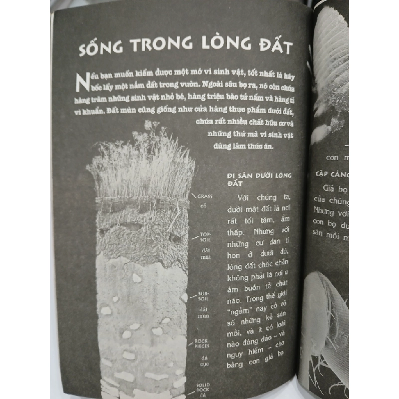 Vi Sinh Vật 549653