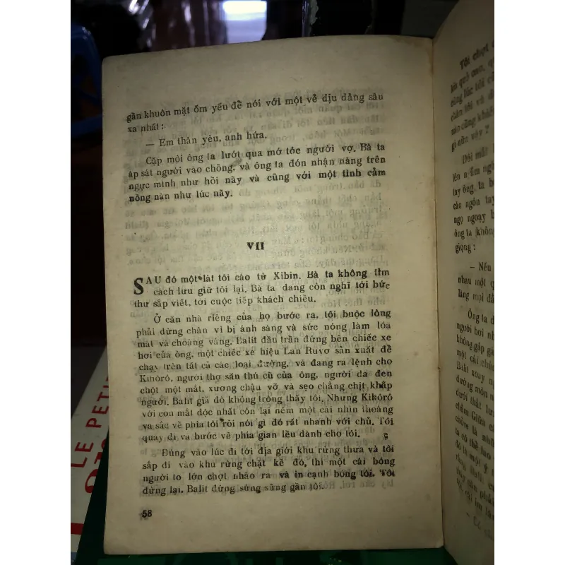 Sư tử - Joseph Kessel 784587