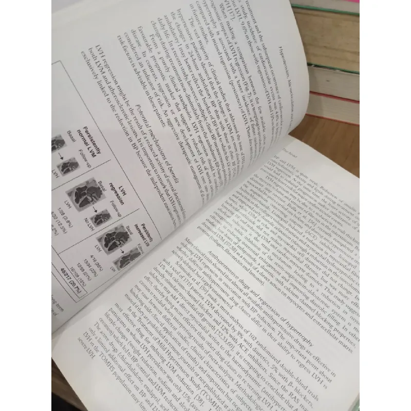 Hypertension, microcirculation and end organ damage - Norman Kaplan 702528