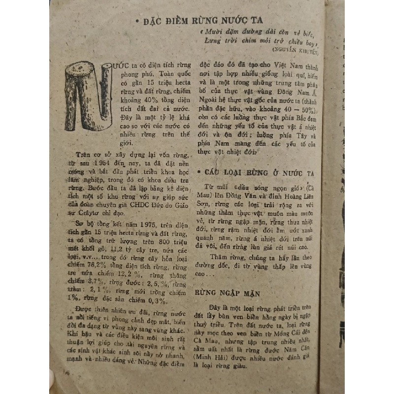 Đến với rừng - Nhiều tác giả 776236